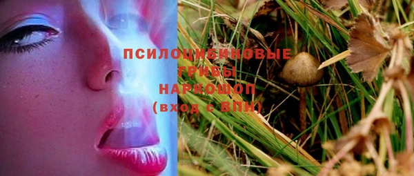 дживик Заволжск