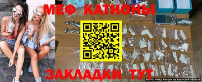 спиды Бийск