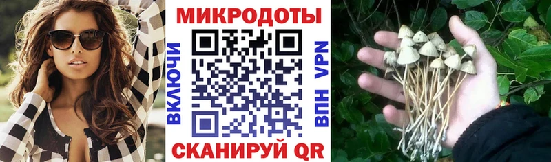Галлюциногенные грибы Psilocybe  где продают   Сосновоборск 