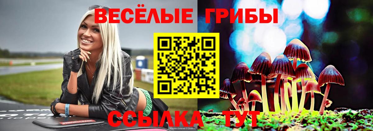 Сосновоборск  Псилоцибиновые грибы Cubensis  купить наркотики сайты  Вход с VPN  Псилоцибиновые грибы GOLDEN TEACHER 